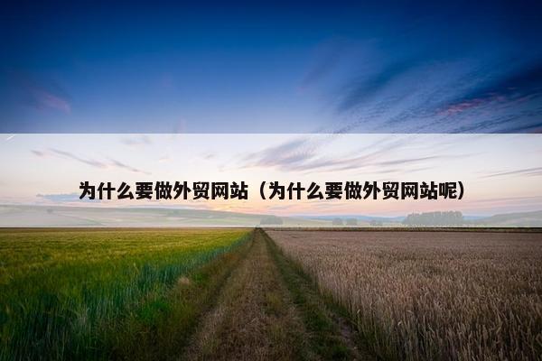 为什么要做外贸网站（为什么要做外贸网站呢）