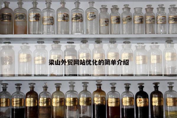 梁山外贸网站优化的简单介绍