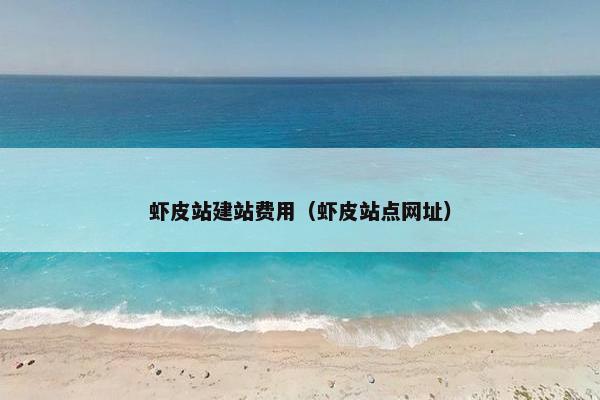 虾皮站建站费用（虾皮站点网址）