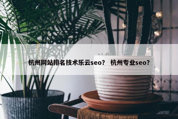 杭州网站排名技术乐云seo？ 杭州专业seo？