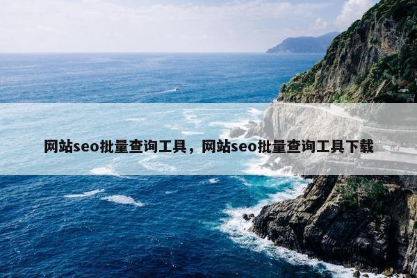 网站seo批量查询工具，网站seo批量查询工具下载