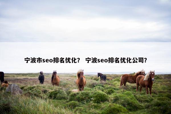 宁波市seo排名优化？ 宁波seo排名优化公司？