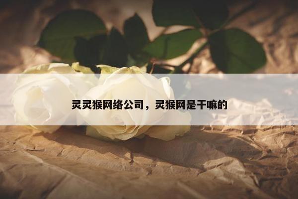 灵灵猴网络公司，灵猴网是干嘛的