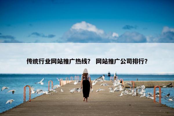 传统行业网站推广热线？ 网站推广公司排行？