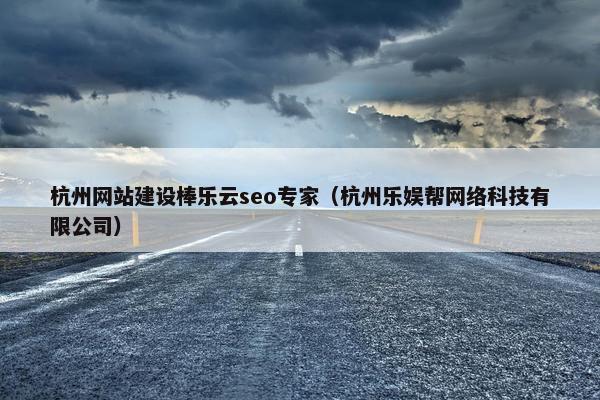 杭州网站建设棒乐云seo专家（杭州乐娱帮网络科技有限公司）