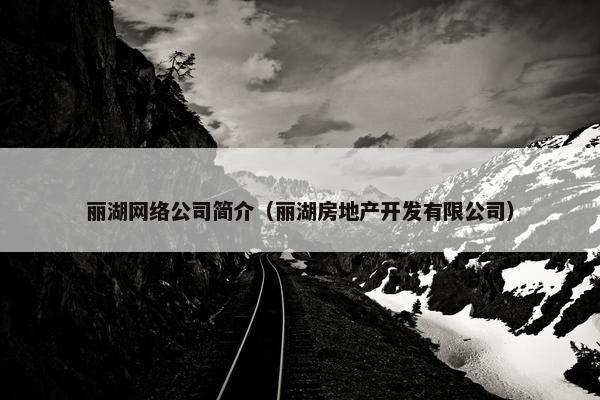 丽湖网络公司简介（丽湖房地产开发有限公司）