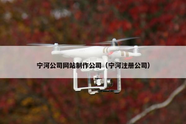 宁河公司网站制作公司（宁河注册公司）
