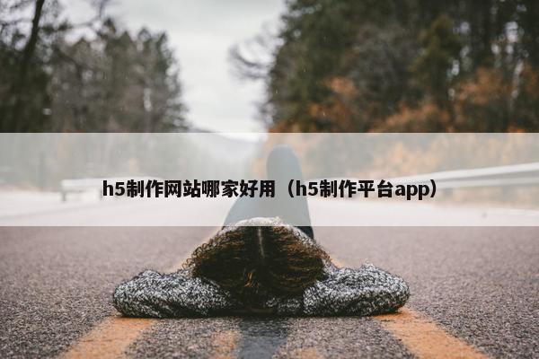 h5制作网站哪家好用（h5制作平台app）
