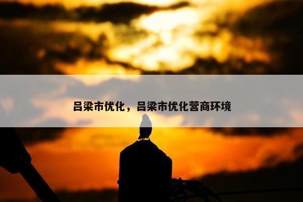吕梁市优化，吕梁市优化营商环境