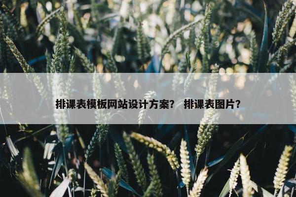 排课表模板网站设计方案？ 排课表图片？