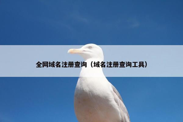 全网域名注册查询（域名注册查询工具）