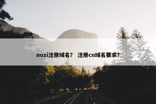 nozi注册域名？ 注册cn域名要求？