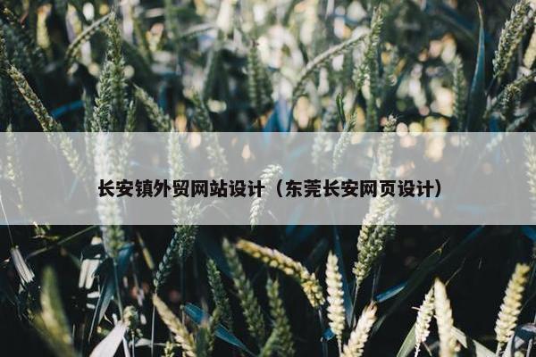 长安镇外贸网站设计（东莞长安网页设计）