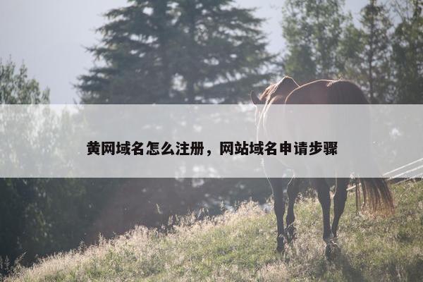 黄网域名怎么注册，网站域名申请步骤