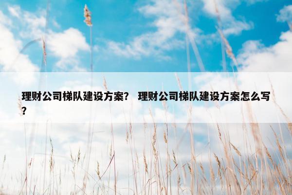 理财公司梯队建设方案？ 理财公司梯队建设方案怎么写？