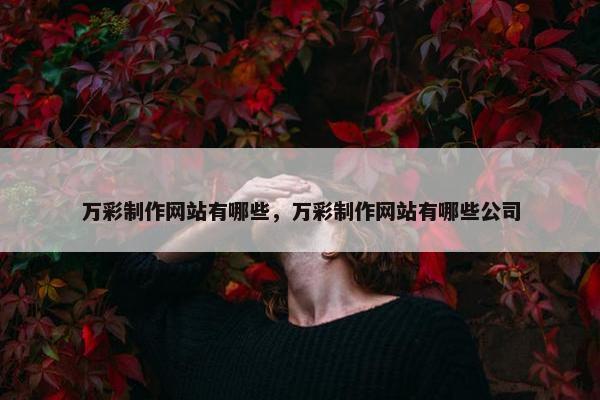 万彩制作网站有哪些，万彩制作网站有哪些公司