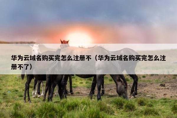 华为云域名购买完怎么注册不（华为云域名购买完怎么注册不了）