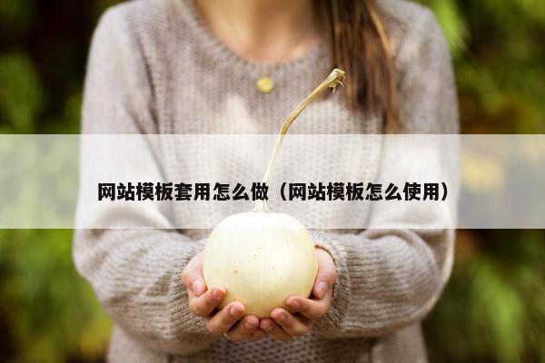 网站模板套用怎么做（网站模板怎么使用）