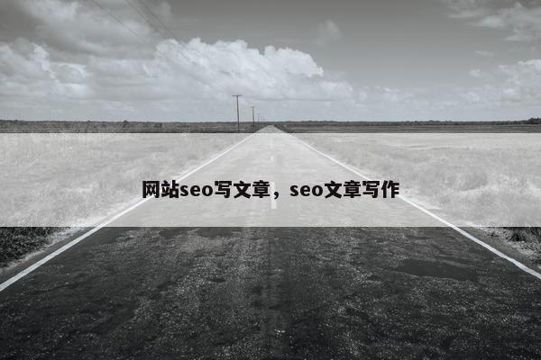 网站seo写文章，seo文章写作