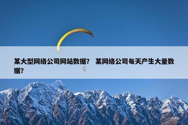 某大型网络公司网站数据？ 某网络公司每天产生大量数据？