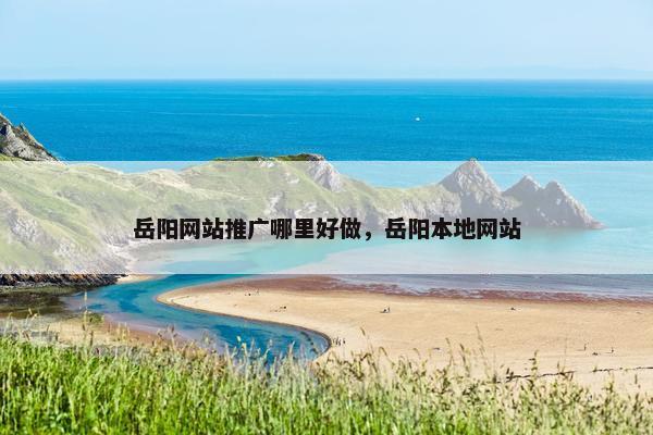 岳阳网站推广哪里好做，岳阳本地网站