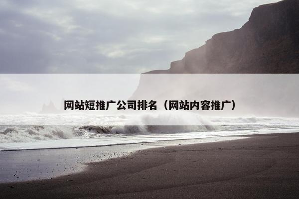 网站短推广公司排名（网站内容推广）