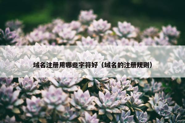 域名注册用哪些字符好（域名的注册规则）