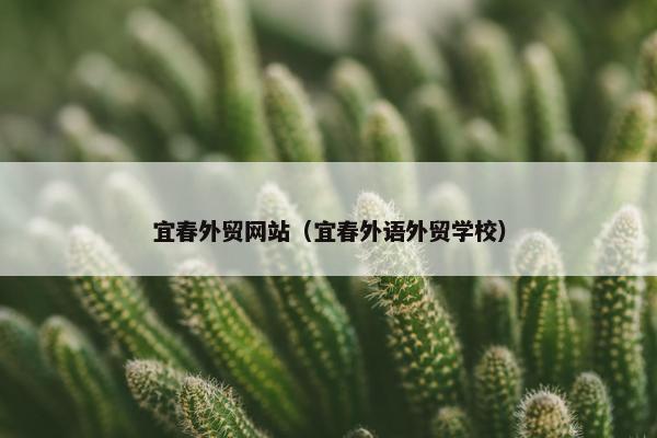 宜春外贸网站（宜春外语外贸学校）