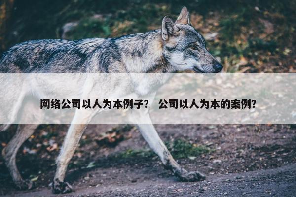 网络公司以人为本例子？ 公司以人为本的案例？