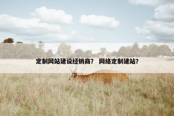 定制网站建设经销商？ 网络定制建站？