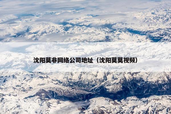 沈阳莫非网络公司地址（沈阳莫莫视频）
