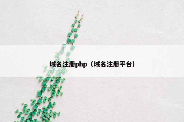 域名注册php（域名注册平台）