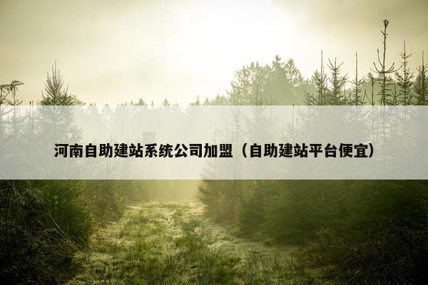 河南自助建站系统公司加盟（自助建站平台便宜）