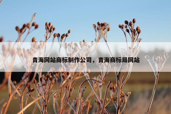 青海网站商标制作公司，青海商标局网站