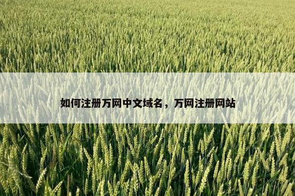 如何注册万网中文域名，万网注册网站
