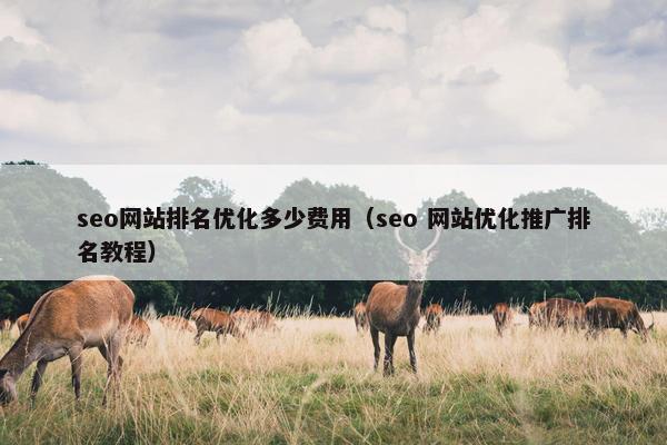 seo网站排名优化多少费用（seo 网站优化推广排名教程）