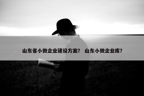 山东省小微企业建设方案？ 山东小微企业库？