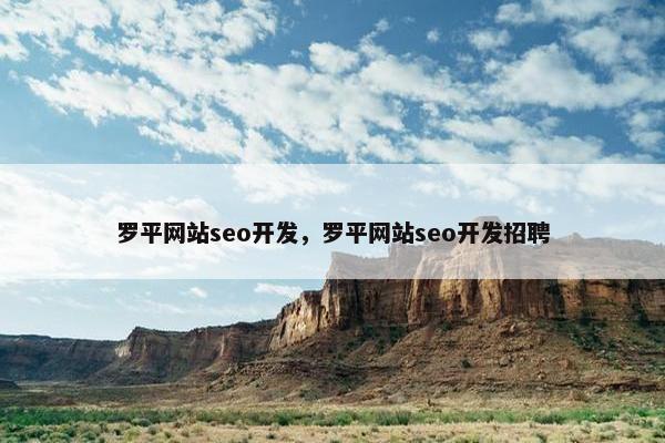 罗平网站seo开发，罗平网站seo开发招聘