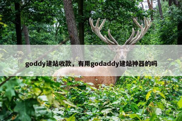 goddy建站收款，有用godaddy建站神器的吗