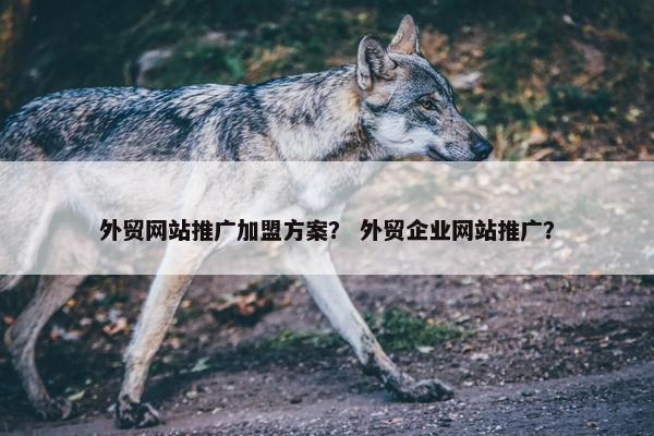 外贸网站推广加盟方案？ 外贸企业网站推广？