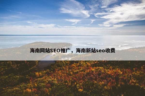 海南网站SEO推广，海南新站seo收费
