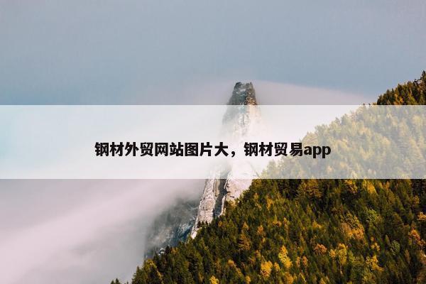 钢材外贸网站图片大，钢材贸易app