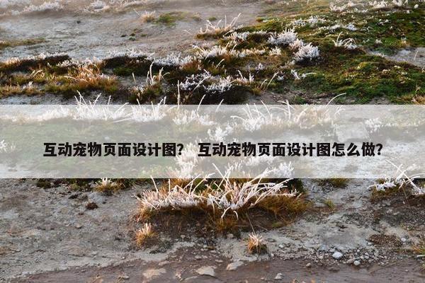 互动宠物页面设计图？ 互动宠物页面设计图怎么做？