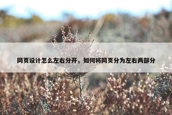 网页设计怎么左右分开，如何将网页分为左右两部分
