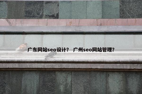 广东网站seo设计？ 广州seo网站管理？