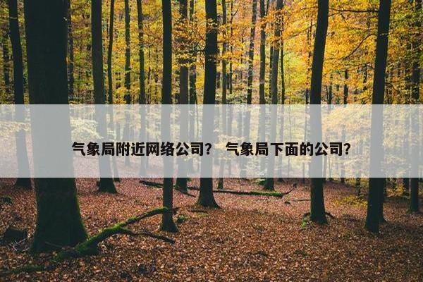 气象局附近网络公司？ 气象局下面的公司？