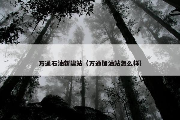 万通石油新建站（万通加油站怎么样）