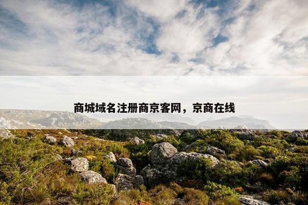商城域名注册商京客网，京商在线