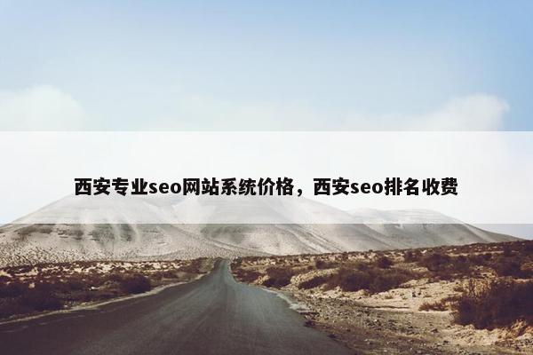 西安专业seo网站系统价格，西安seo排名收费