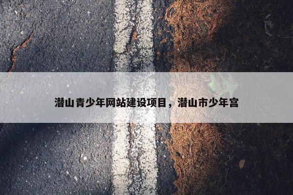 潜山青少年网站建设项目，潜山市少年宫